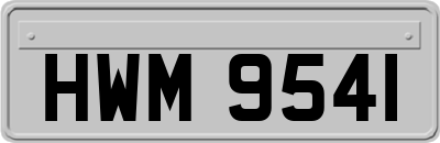 HWM9541
