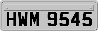 HWM9545