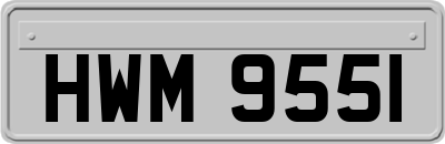 HWM9551