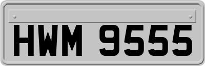 HWM9555