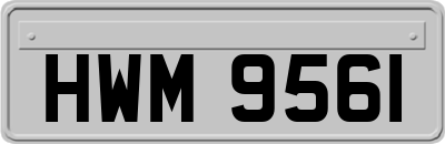 HWM9561