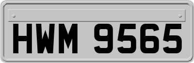 HWM9565