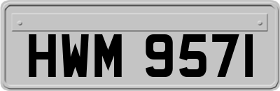 HWM9571