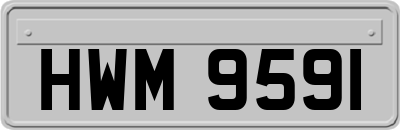 HWM9591