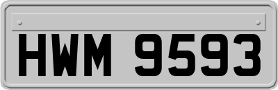 HWM9593