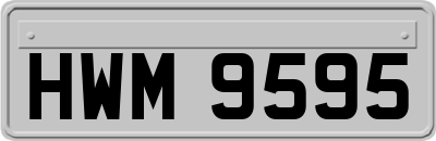 HWM9595