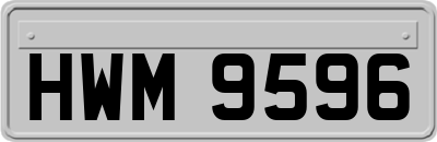 HWM9596