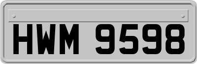 HWM9598