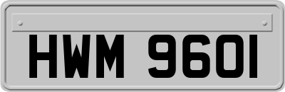 HWM9601