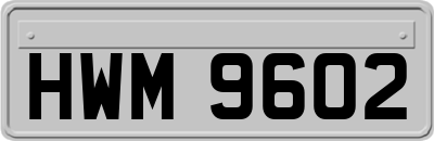 HWM9602