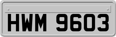 HWM9603