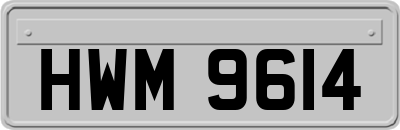 HWM9614