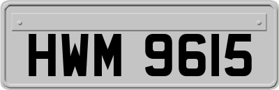 HWM9615