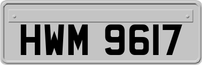 HWM9617