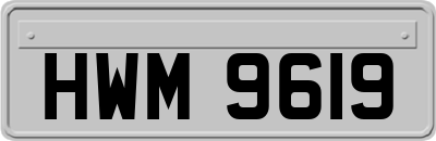 HWM9619