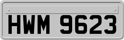 HWM9623