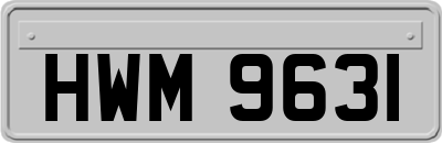 HWM9631