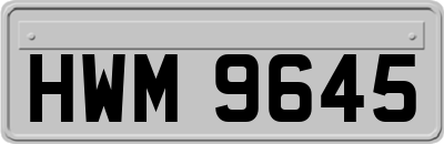 HWM9645