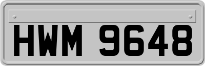 HWM9648