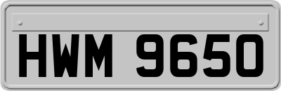 HWM9650