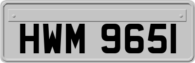 HWM9651