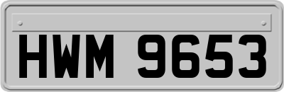 HWM9653
