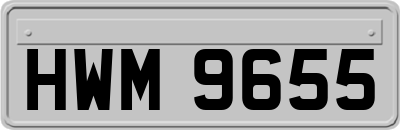 HWM9655
