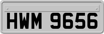 HWM9656
