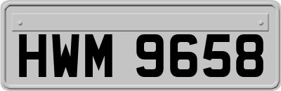 HWM9658