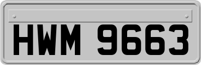HWM9663