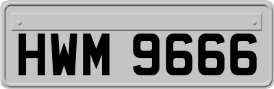 HWM9666