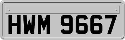 HWM9667