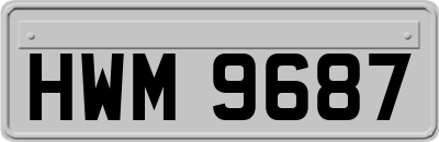 HWM9687