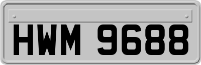 HWM9688