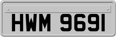 HWM9691