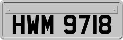 HWM9718
