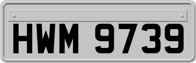 HWM9739