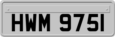 HWM9751