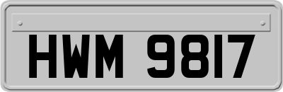HWM9817