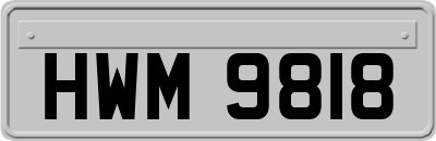 HWM9818