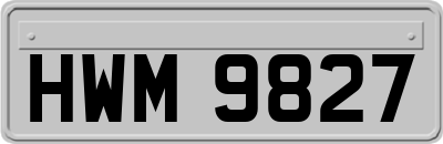 HWM9827