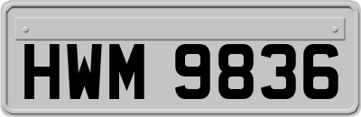 HWM9836
