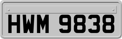 HWM9838