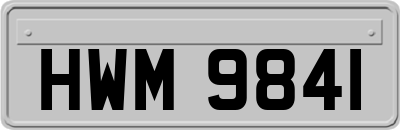 HWM9841