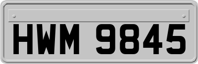 HWM9845