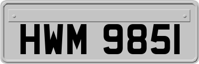 HWM9851