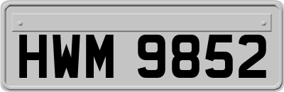 HWM9852