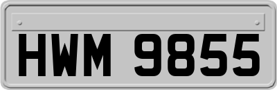 HWM9855