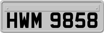HWM9858
