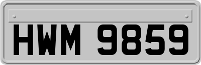 HWM9859